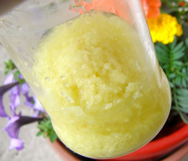 Imbir w cukrze z cytryną