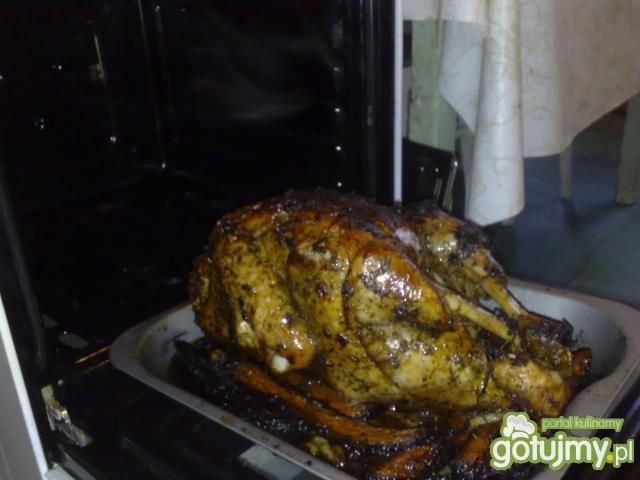Indyk w solance pieczony w całości!