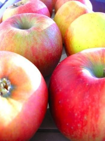 Jabłka nadziewane twarożkiem ze śmietaną Jabłka nadziewane twarożkiem ze śmietaną