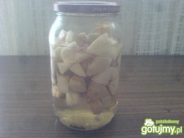 Jabłkówka czyli nalewka na jabłkach