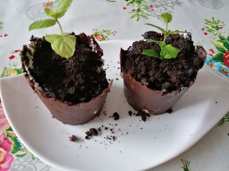 Jadalne donczki Jadalne donczki