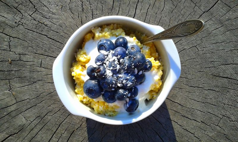 Jaglanka kokosowa z miodowym jogurtem i borówką 