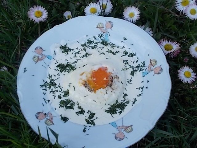 Jaja sadzone w śmietanie