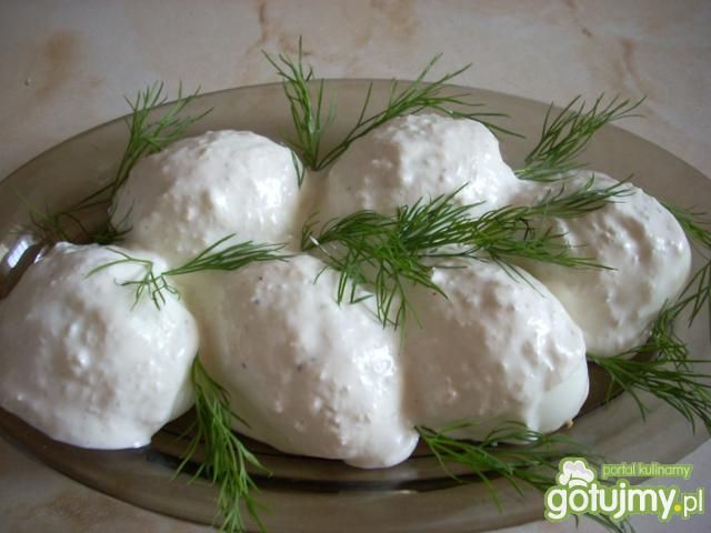 Jaja w sosie chrzanowym  Jaja w sosie chrzanowym