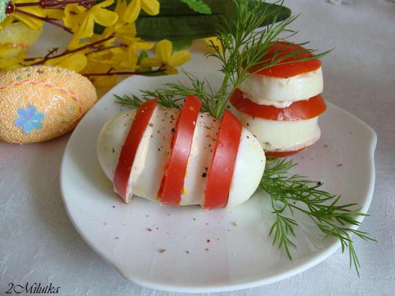 Jajeczna biało czerwona zebra Jajeczna biało czerwona zebra