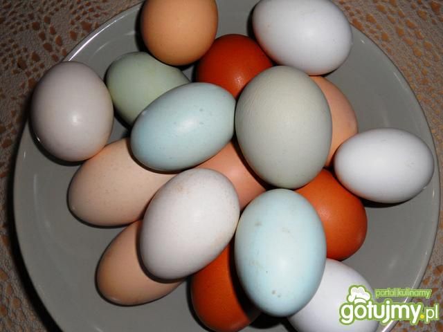 Jajecznica z kolorowych jajek