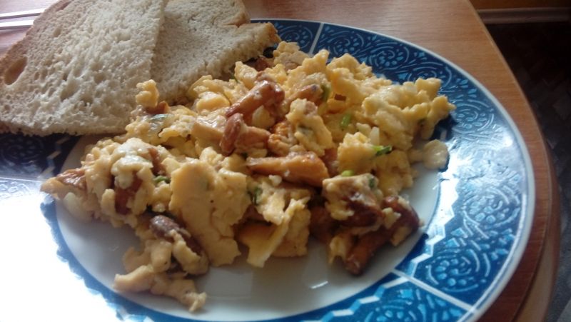 Jajecznica z kurkami 