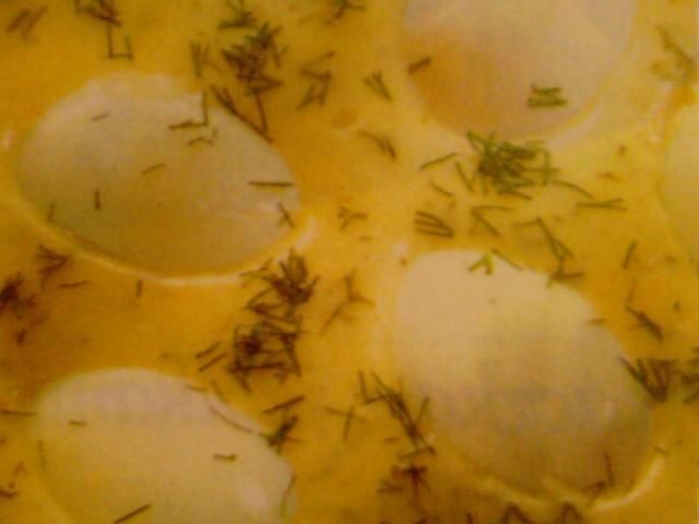 Jajka w koperkowym sosie 