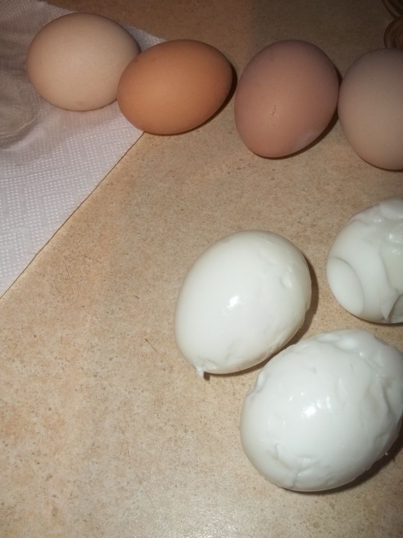 Jajka z farszem koperkowym