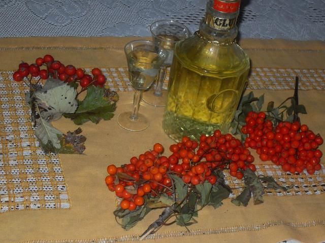 Jarzębiak Jarzębiak