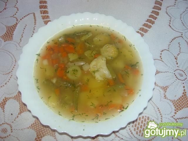 Jarzynowa Edzi Jarzynowa Edzi