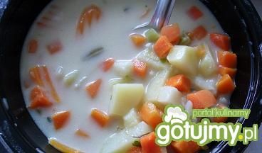 Jarzynowa z ziemniakami. Jarzynowa z ziemniakami.