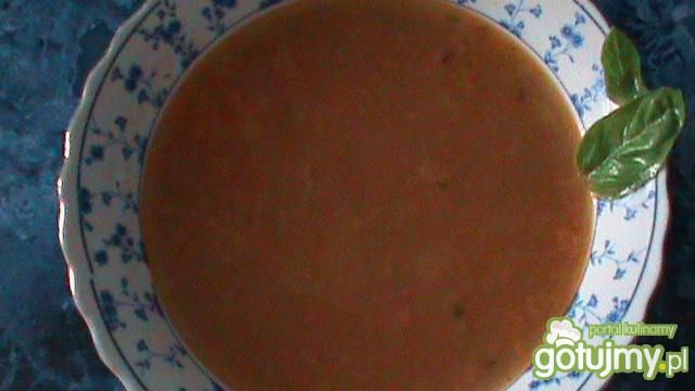 Jarzynówka extra Jarzynówka extra