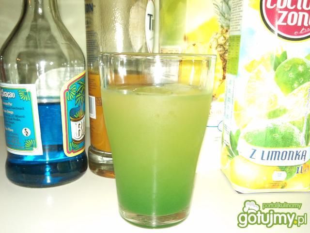 Jaszczurka Jaszczurka