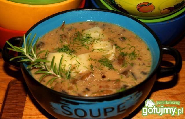 Jeszcze jedna grzybowa