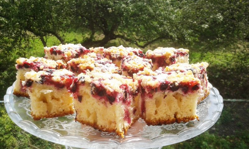   Jogurtowe ciasto z czarną porzeczką