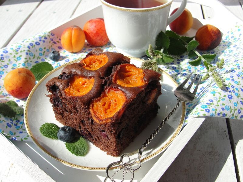 Jogurtowiec kakaowy z morelami