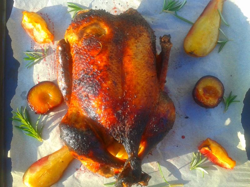 Kaczka azjatycka z jesiennymi owocami