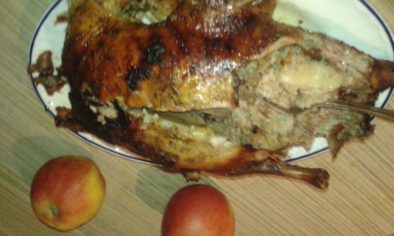 Kaczka nadziana kaszą ,jabłkami i żurawiną