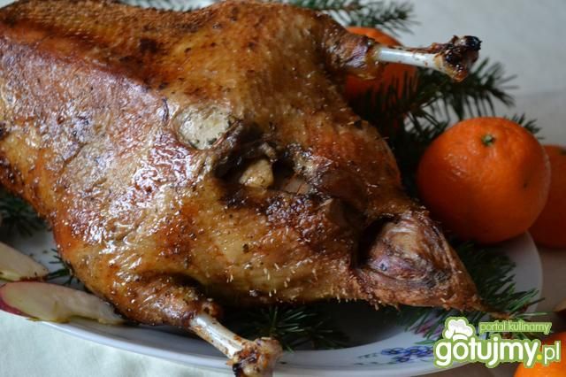 Kaczka nadziewana jabłkami Kaczka nadziewana jabłkami