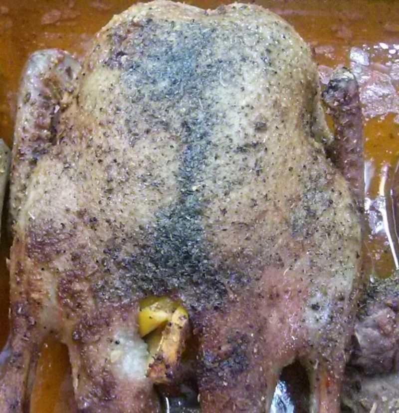 Kaczka w soku pomarańczowo jabłkowym 