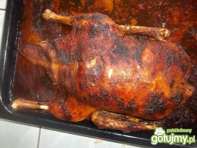 Kaczka z jabłkami Kaczka z jabłkami