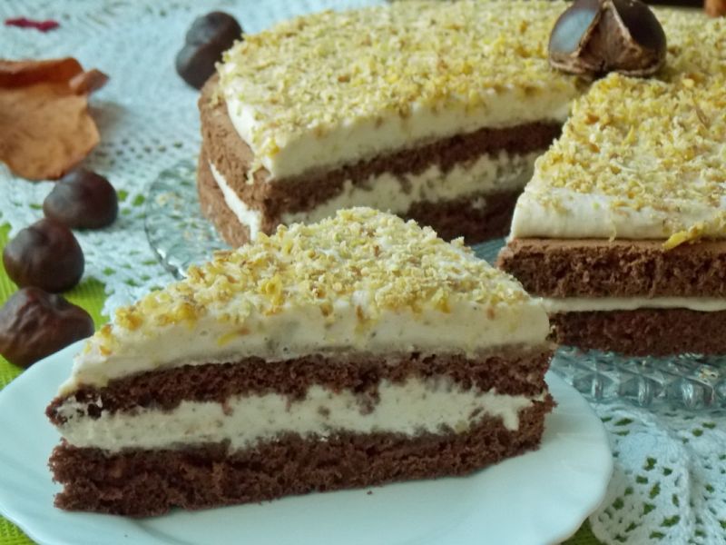 Kakaowy kasztanowiec