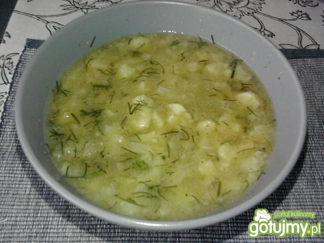 Kalafiorowa wegetariańska Kalafiorowa wegetariańska