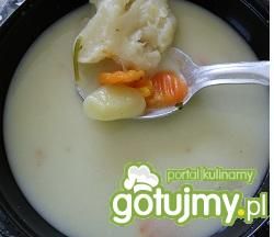 Kalafiorowa wg motorek Kalafiorowa wg motorek