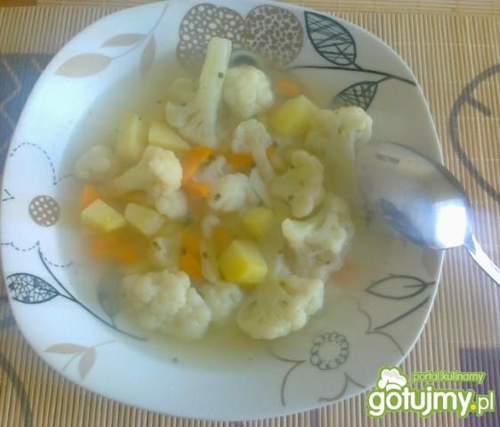 Kalafiorowa z suszoną natka pietruszki Kalafiorowa z suszoną natka pietruszki