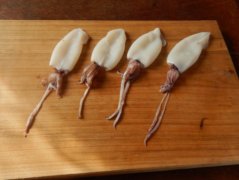 Kalmary faszerowane łososiem w sosie ziołowym