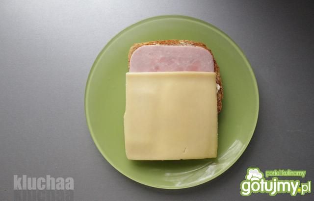 Kanapka zwyczajna Kanapka zwyczajna