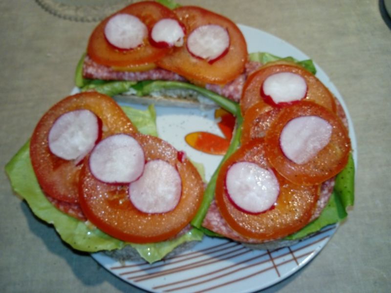 Kanapki z salami i nowalijkami Kanapki z salami i nowalijkami