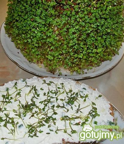 Kanapki z twarożkiem i rzeżuchą