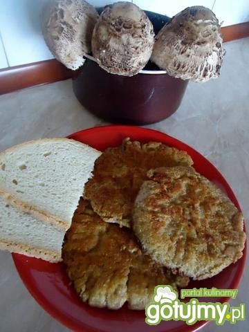 Kanie smażone na maśle wg Mychy