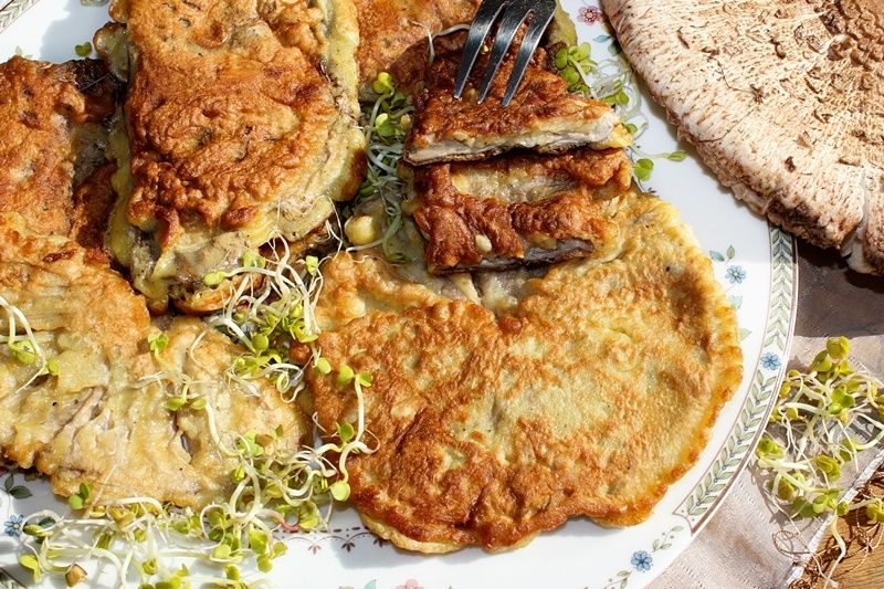 Kanie w cieście Kanie w cieście