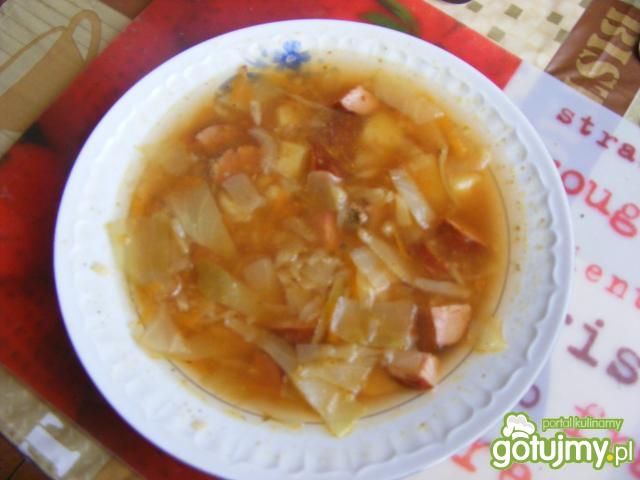 Kapuśniaczek wg suri29