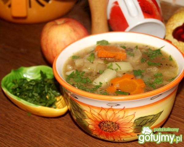 Kapuśniak po gołąbkach Kapuśniak po gołąbkach