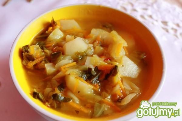 Kapuśniak z młodej kapusty :)