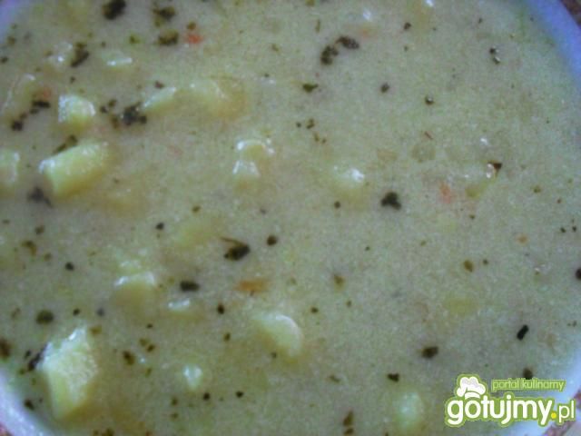 kartoflanka (ślepoki) kartoflanka (ślepoki)