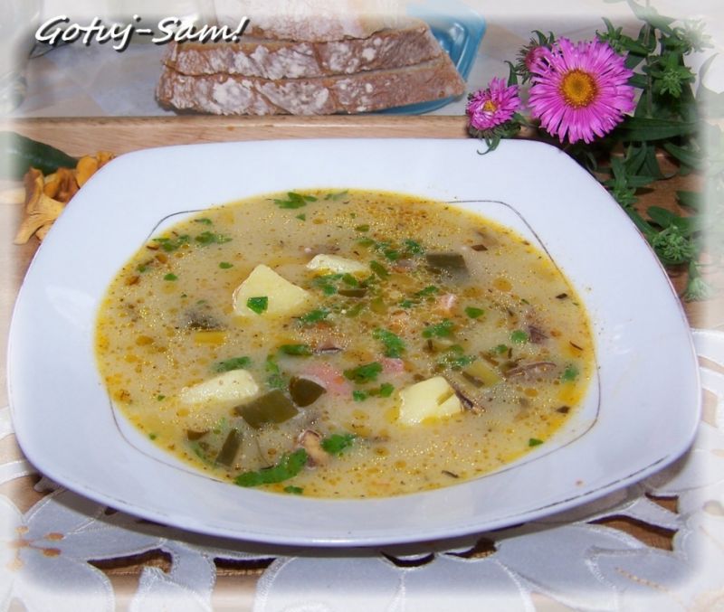 Kartoflanka z leśnymi grzybkami