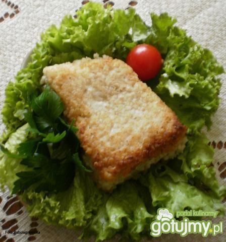 Kasza jak polenta : Kasza jak polenta :