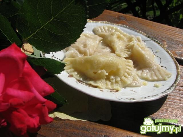 Kasza, twaróg i soczewica w pierogach