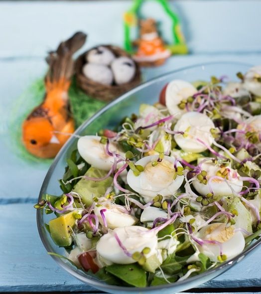 Kiełki - zasmakuj w zdrowiu na wiosnę! Kiełki - zasmakuj w zdrowiu na wiosnę!