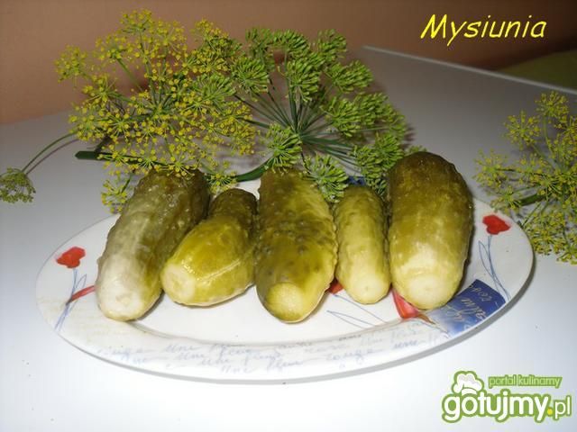 kiszone ogórasy kiszone ogórasy