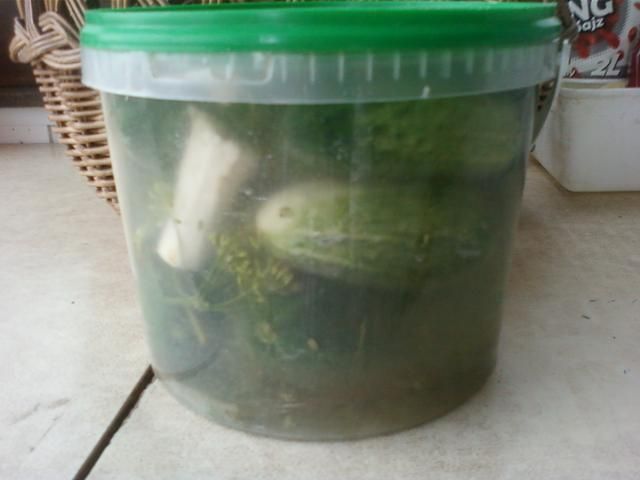 Kiszone ogórki Kiszone ogórki