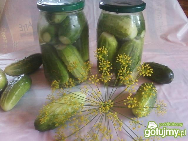 Kiszone ogórki na szybko. Kiszone ogórki na szybko.