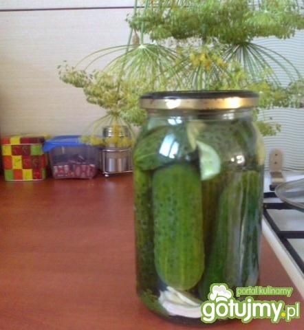 Kiszone ogórki wg Megg