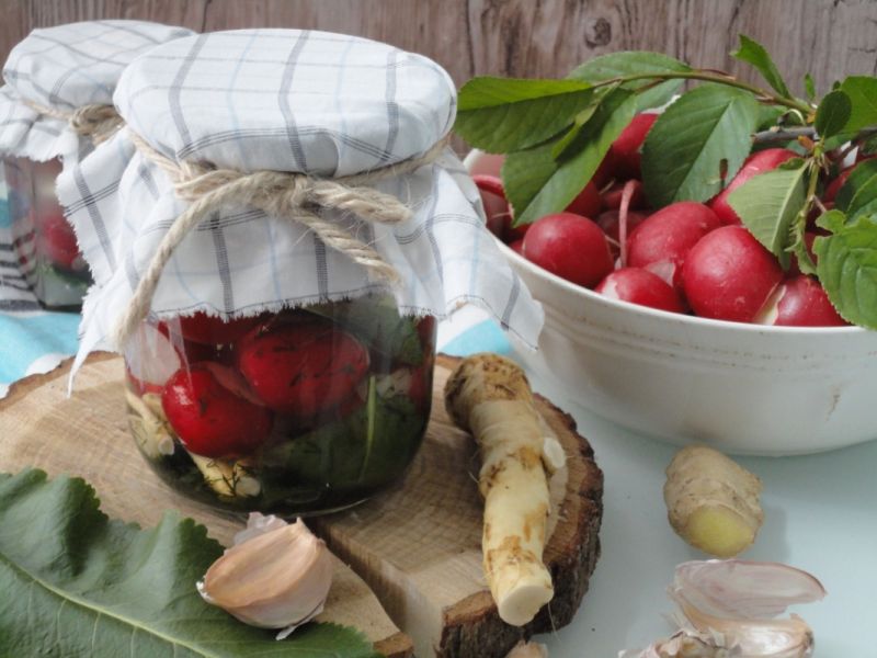 Kiszone rzodkiewki z imbirem