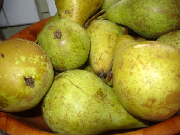 Knedliki z gruszkami